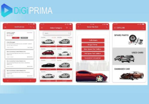 DigiPrima Technologies Pvt. Ltd. agency's portfolio